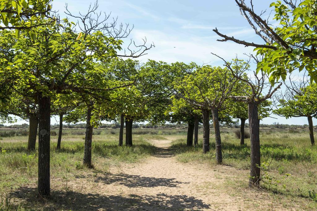 Domaine Les Muriers Vendres Εξωτερικό φωτογραφία