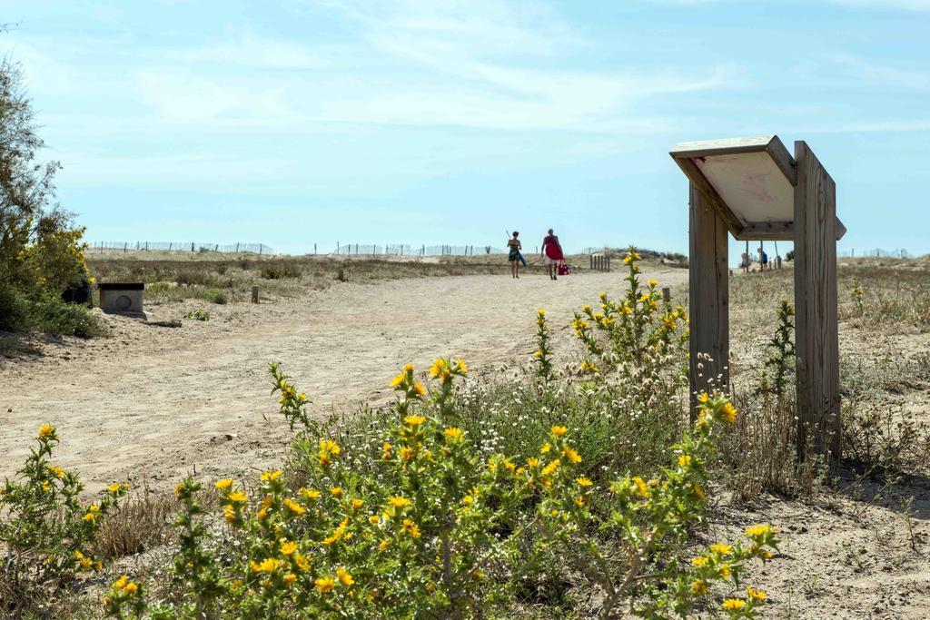 Domaine Les Muriers Vendres Εξωτερικό φωτογραφία