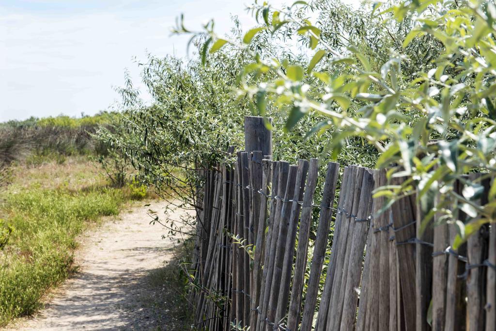 Domaine Les Muriers Vendres Εξωτερικό φωτογραφία