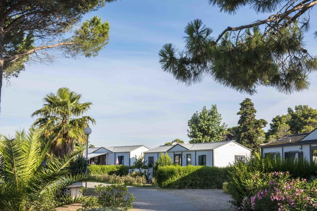 Domaine Les Muriers Vendres Εξωτερικό φωτογραφία